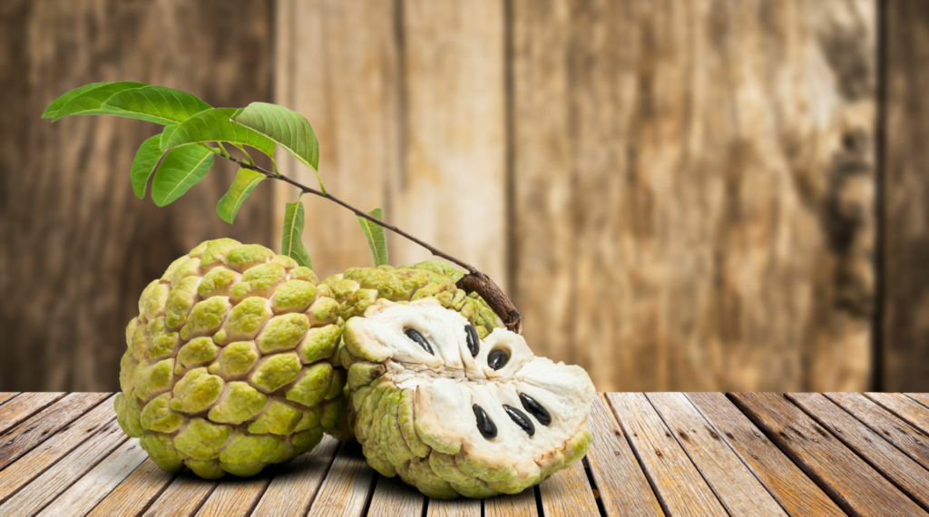 How to Grow Cherimoya Seeds